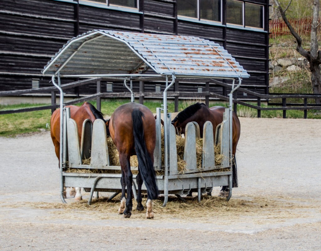 Rundballenraufe für Pferde mit Dach
